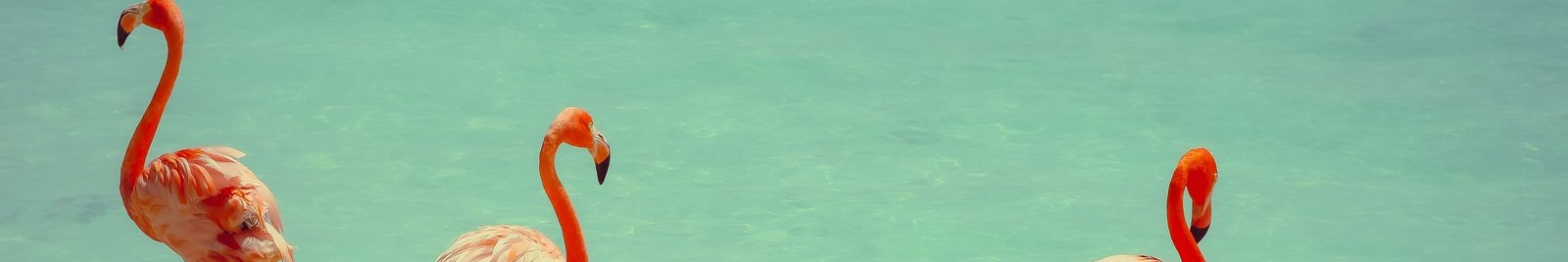 Aruba